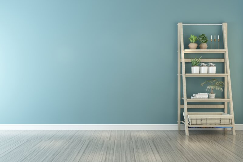 Ladder Shelf with Plants