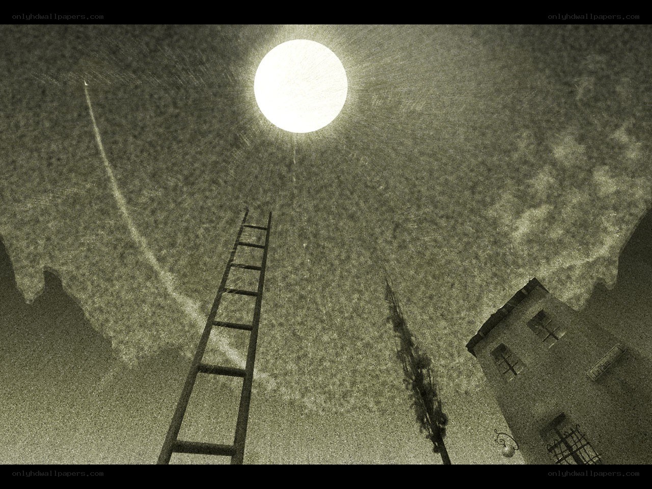 ladder to the moon