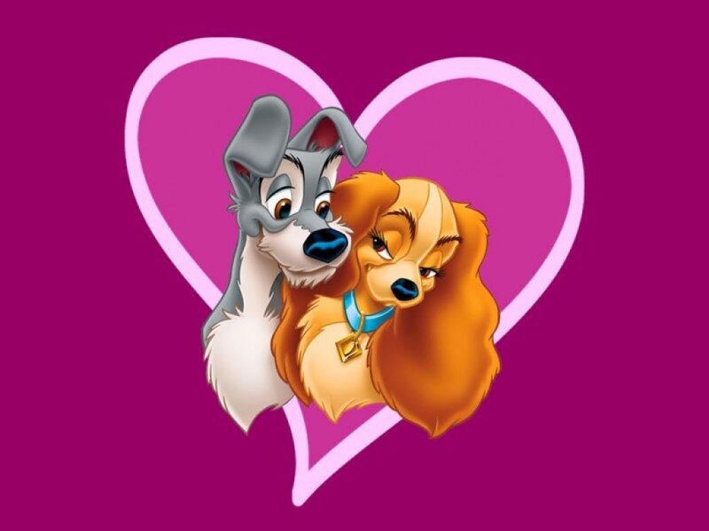 Lady and the Tramp in heart