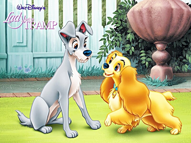 Lady and the Tramp — Yellow