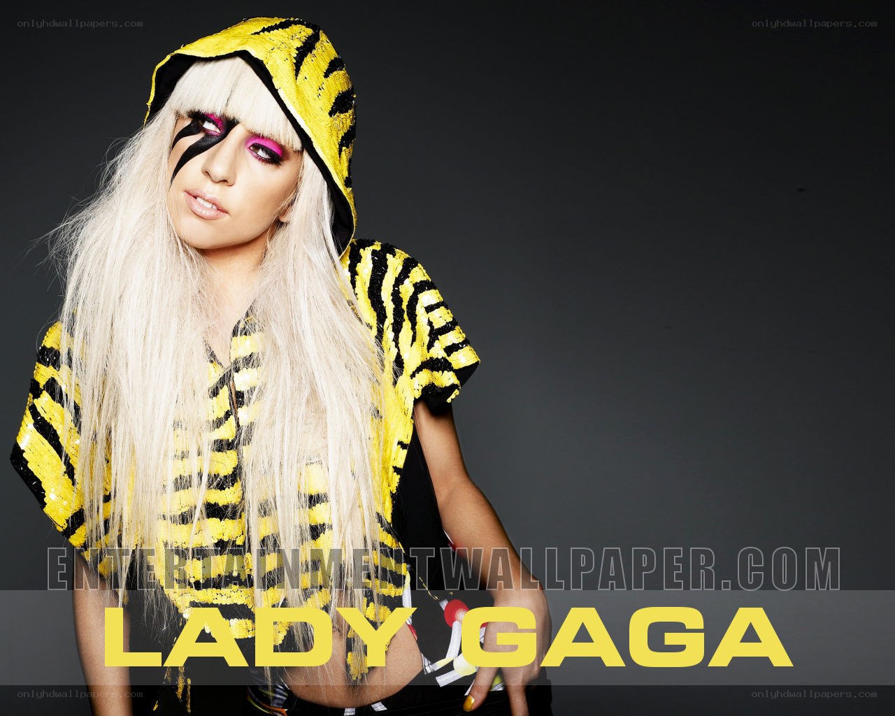 Lady Gaga in tiger print