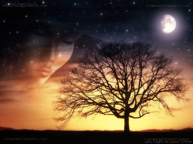Lady Night at the tree