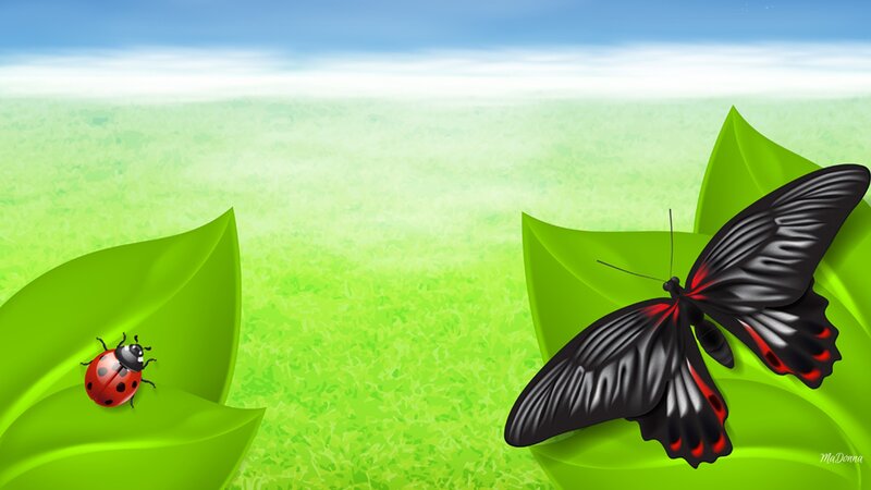 Ladybug and Butterfly — Green