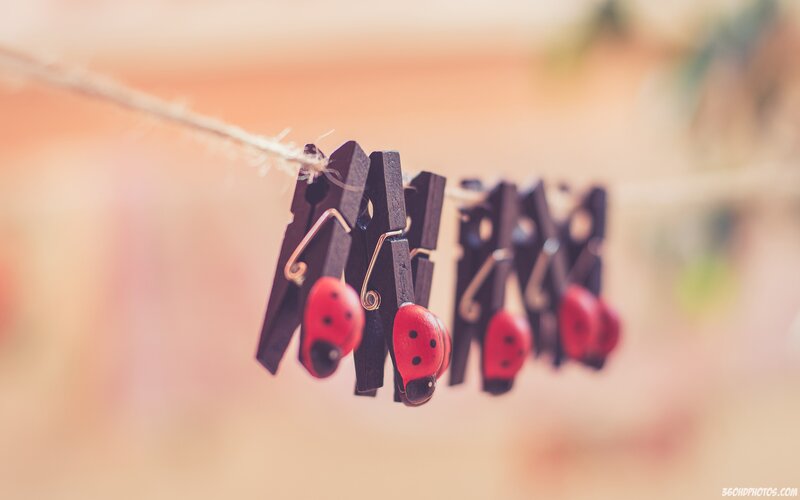 Ladybug Clothespins