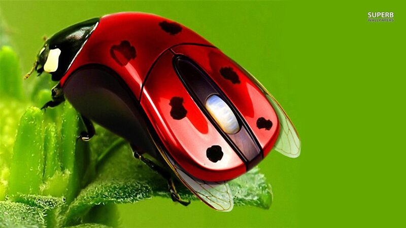 Ladybug Computer Mouse — Red, Playful, Digital Art