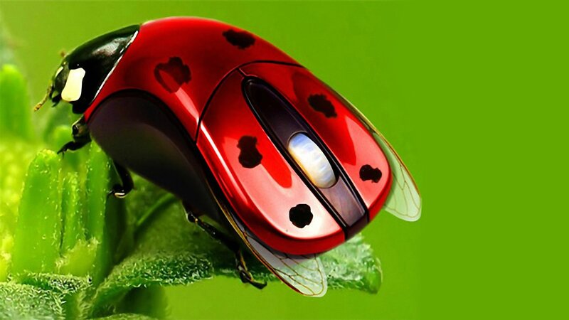 Ladybug Computer Mouse — Red