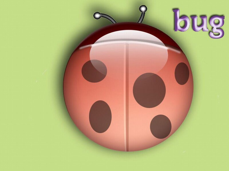 ladybug illustration