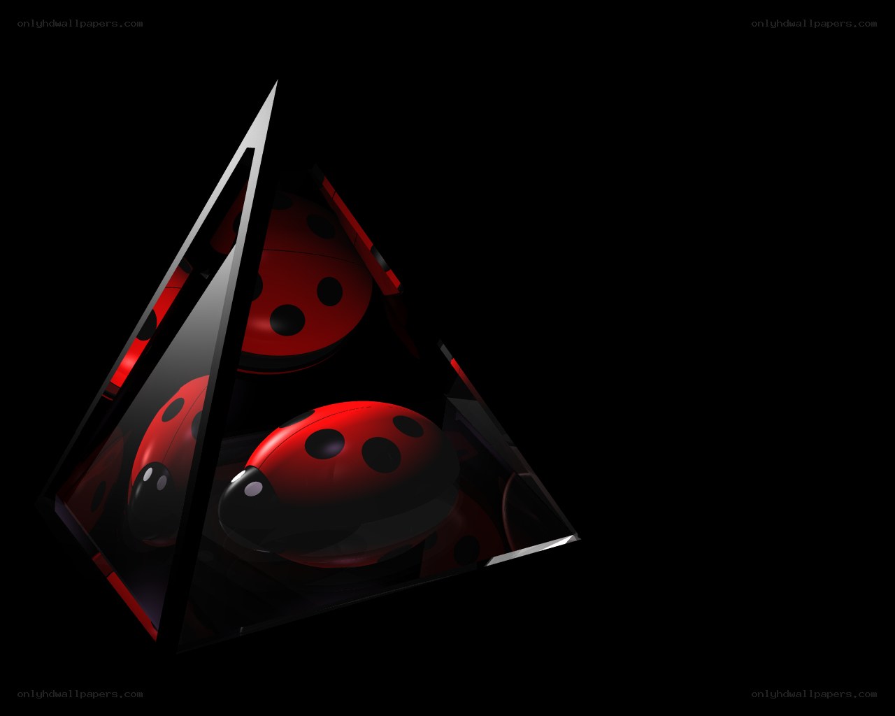 ladybug in a glass pyramid