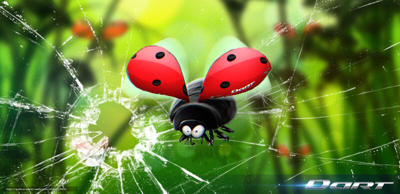 Ladybug in a web