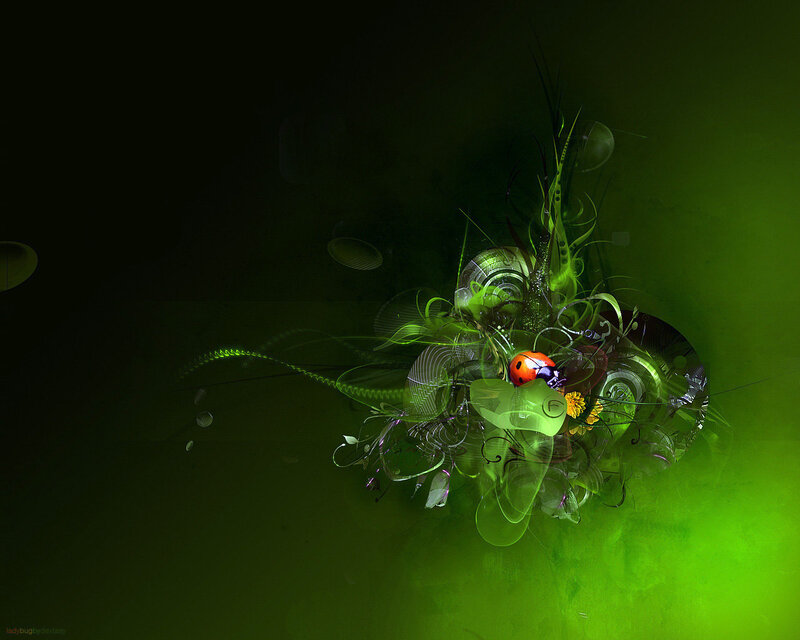 Ladybug in Abstract Design