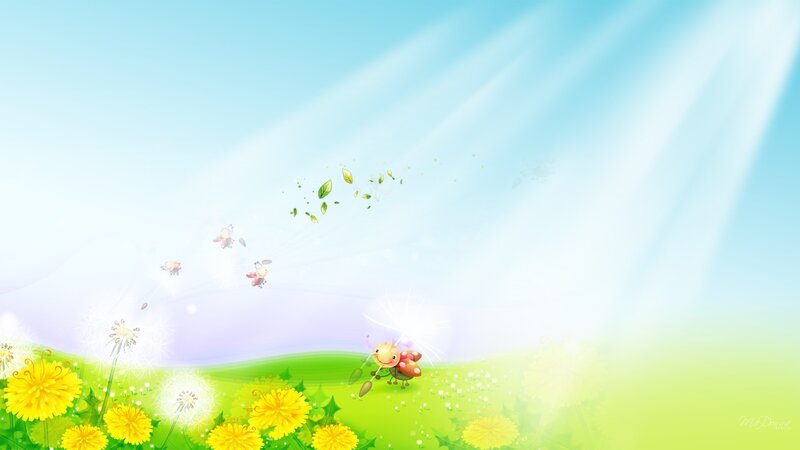 Ladybug in Field