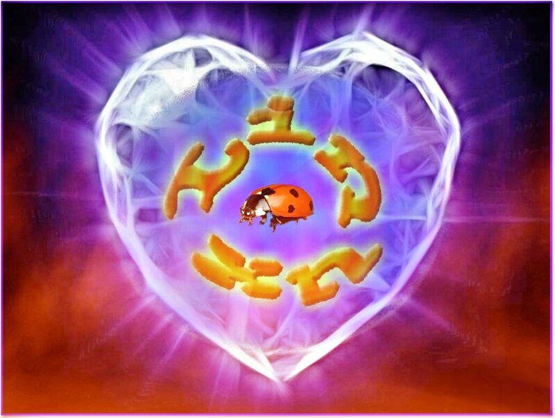 Ladybug in Heart