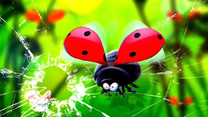 Ladybug in Web