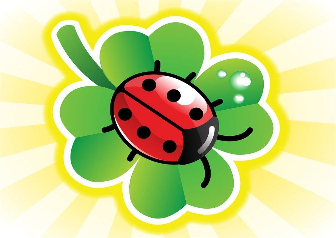 ladybug on a clover