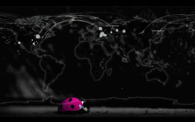 Ladybug on a digital world map