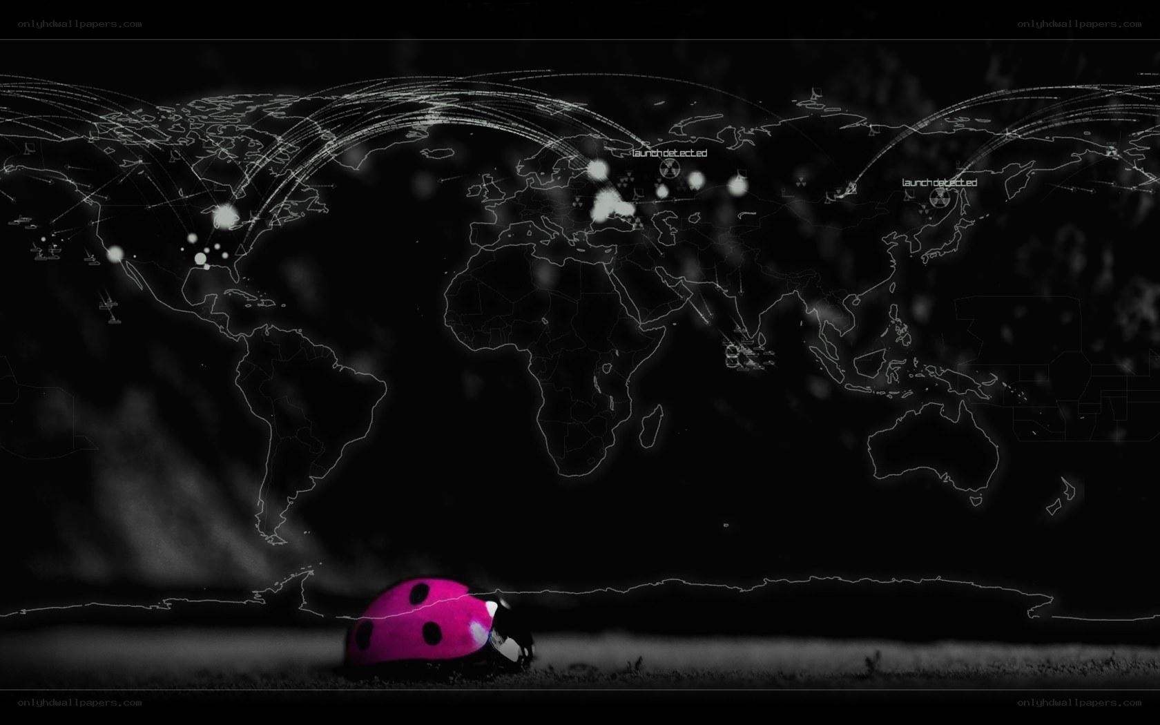 Ladybug on a digital world map