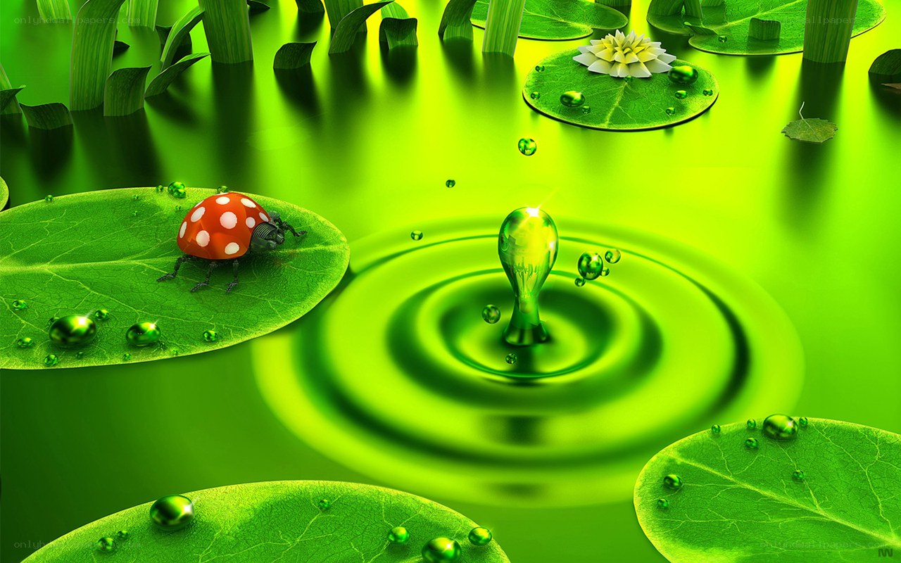 Ladybug on a lily pad
