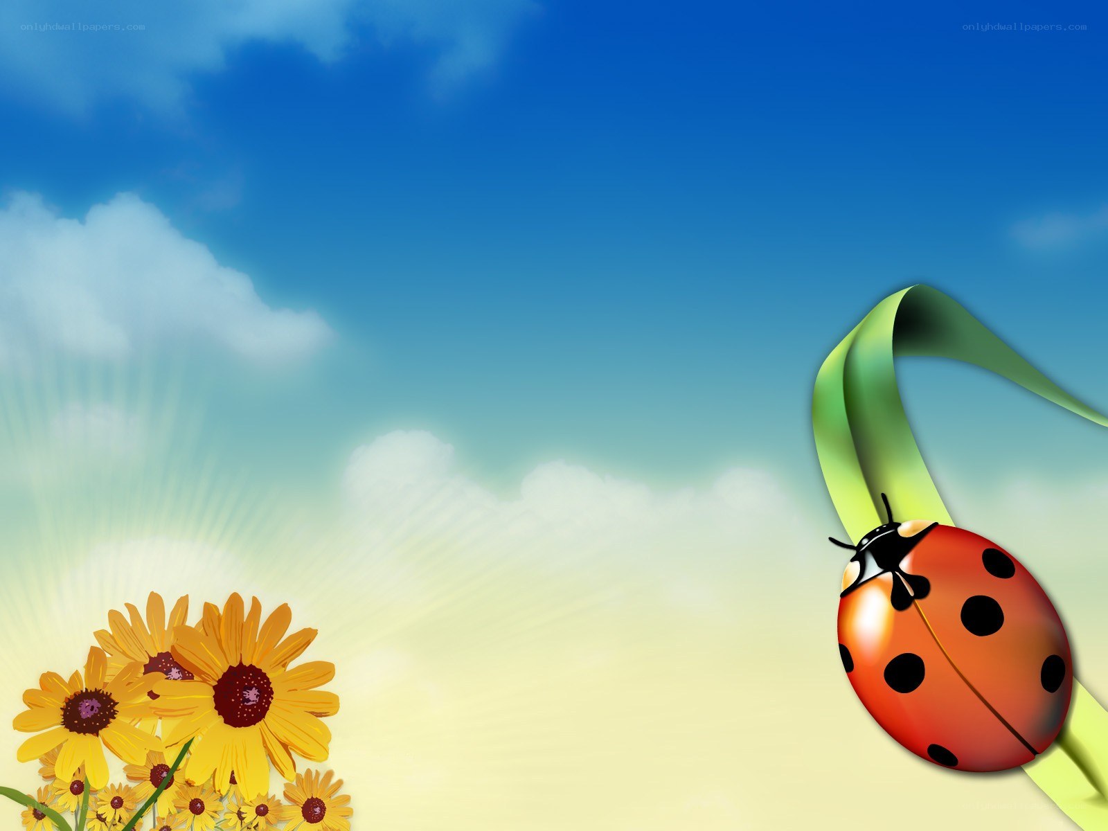 Ladybug on a sunny day