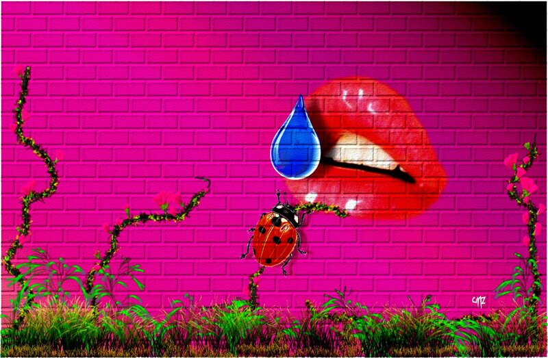 Ladybug on Brick Wall