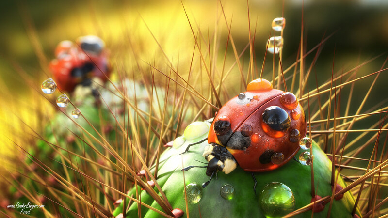 Ladybug on Cactus — Red, Serene