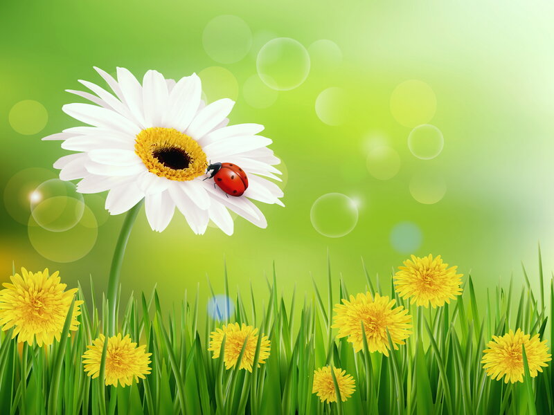 Ladybug on Daisy — Green, Serene, Spring, Digital Art, Dandelions