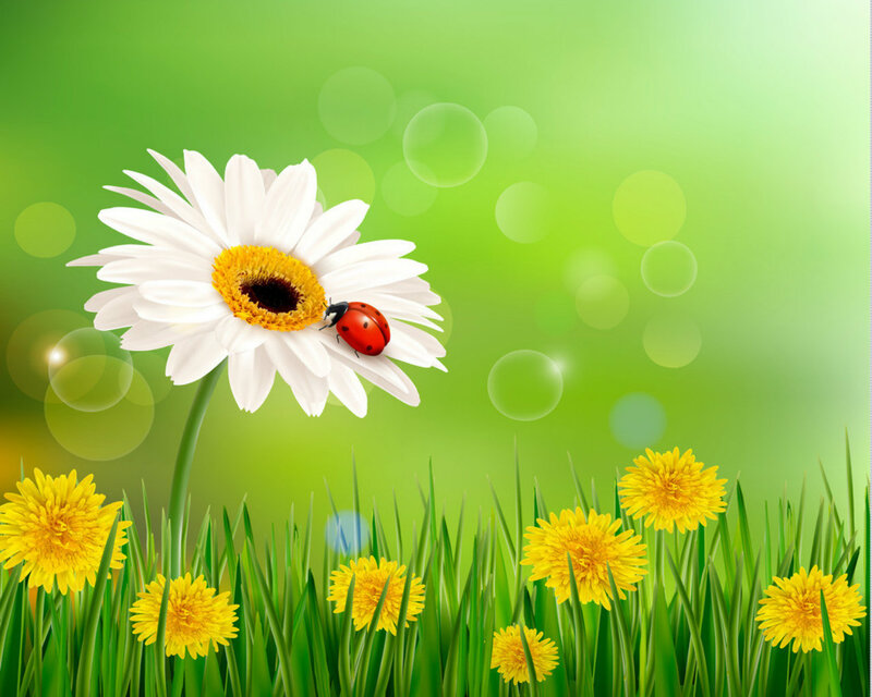 Ladybug on Daisy — Green, Serene, Spring, Digital Art