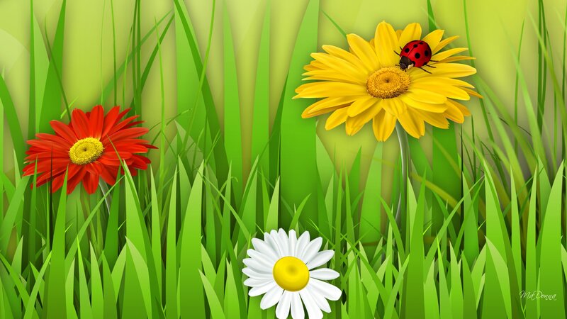 Ladybug on Daisy — Green, Serene