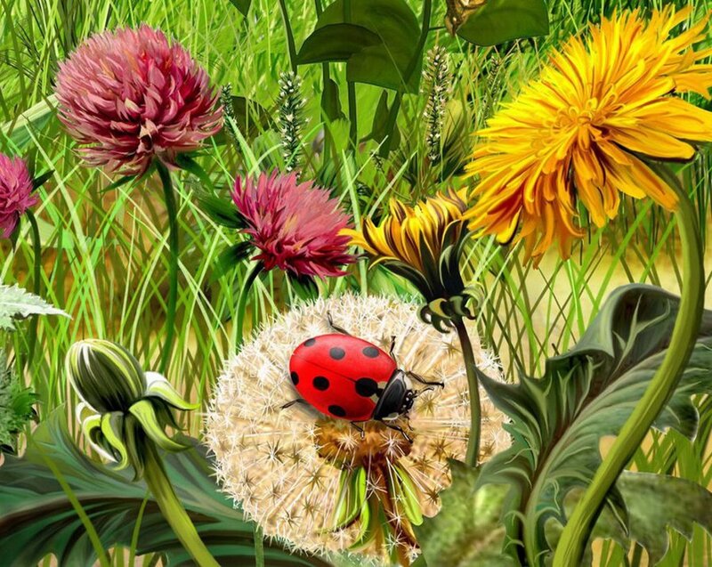 Ladybug on Dandelion — Green, Serene