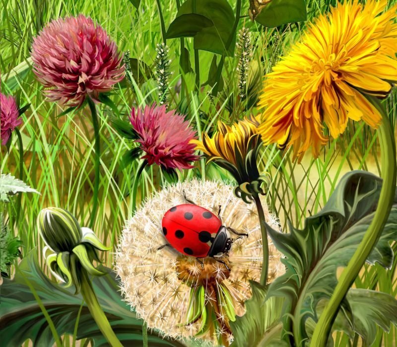 Ladybug on Dandelion — Green