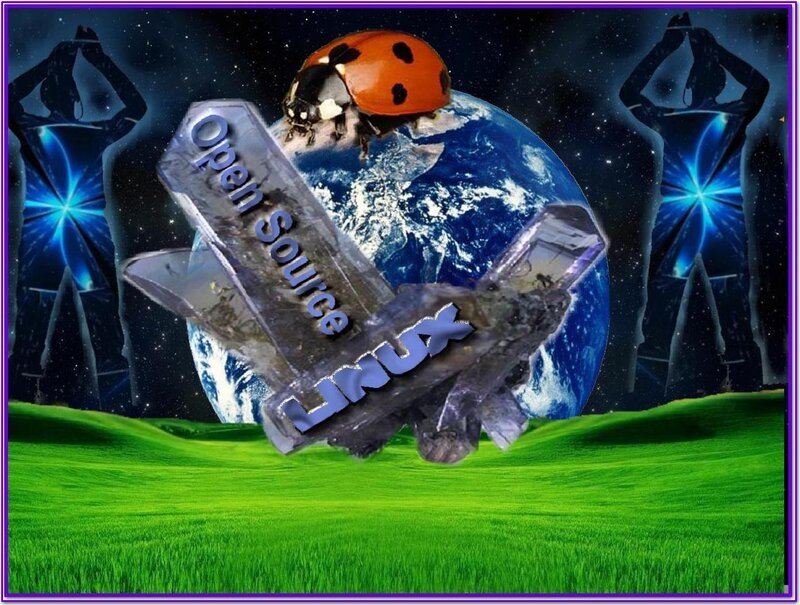 Ladybug on Earth