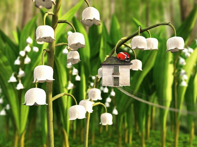 Ladybug on Flower House