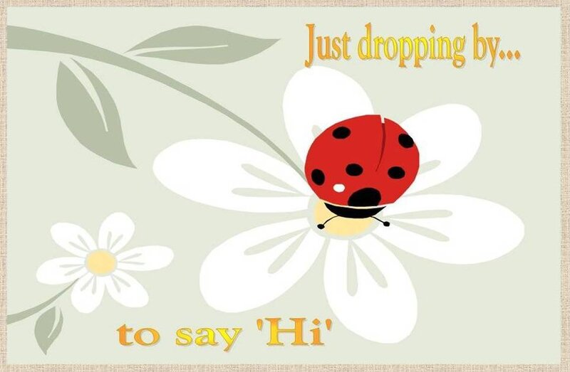 Ladybug on Flower — White, Friendly