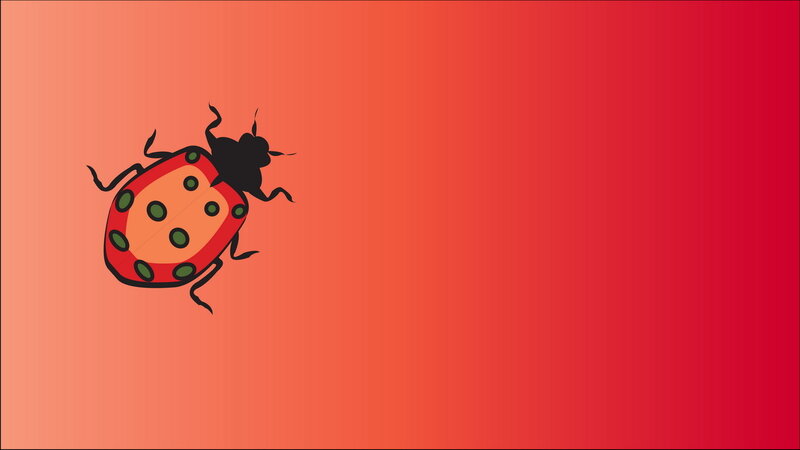 Ladybug on Gradient