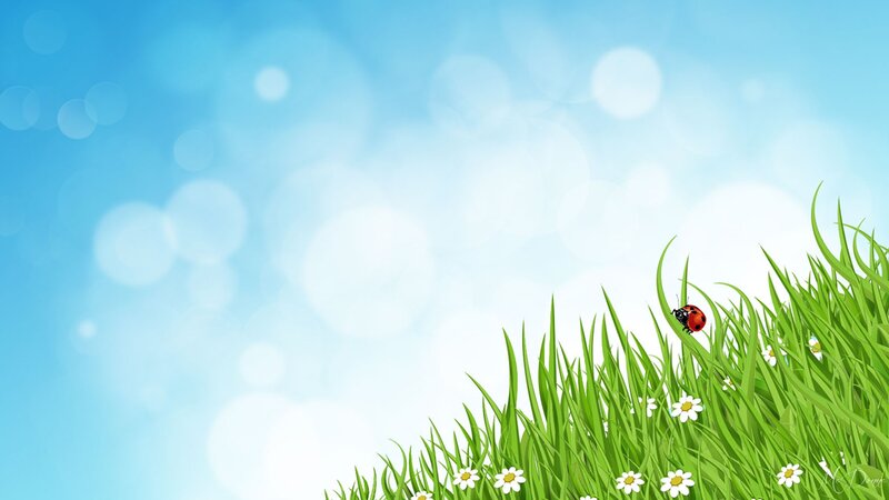 Ladybug on Grass — Green, Serene, Spring