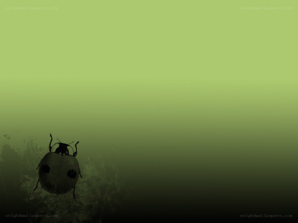 ladybug on green background