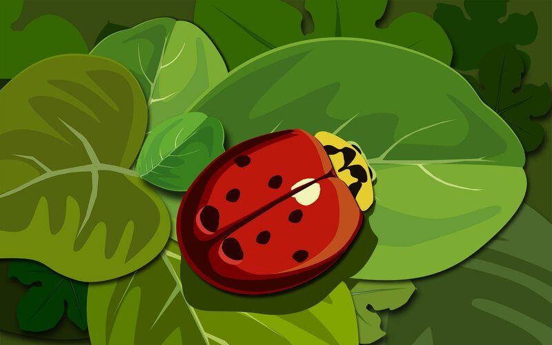ladybug on green leaf
