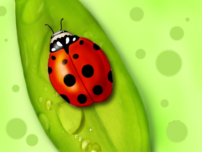 Ladybug on Green Leaf — Calm, Digital Art