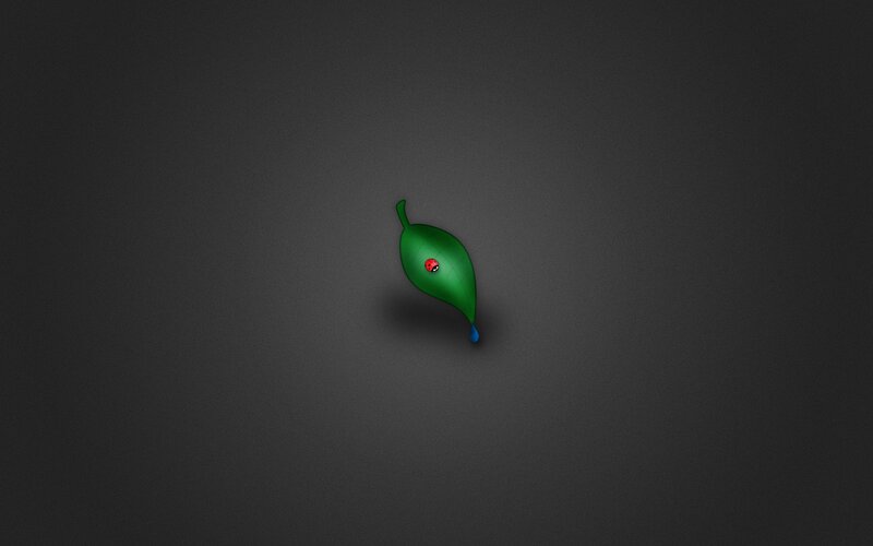 Ladybug on Green Leaf — Minimalist