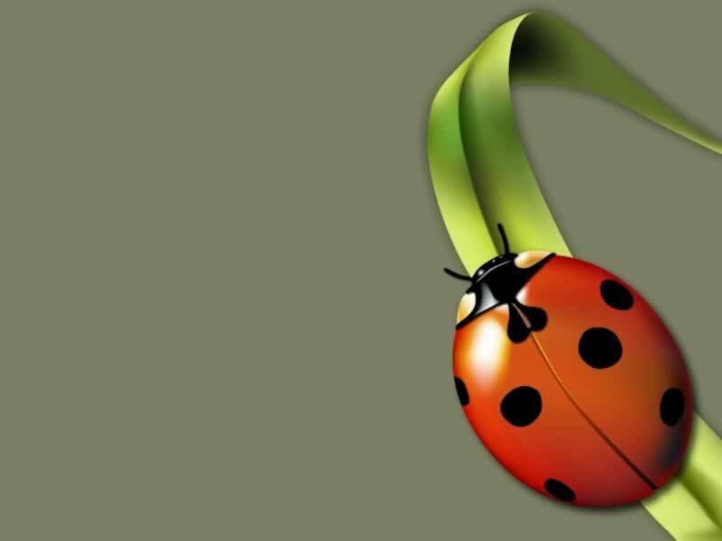 Ladybug on Green Leaf — Red, Calm, Digital Art, Insect