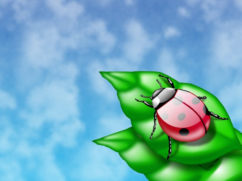 Ladybug on Green Leaf — Serene, Afternoon, Digital Art, Sky