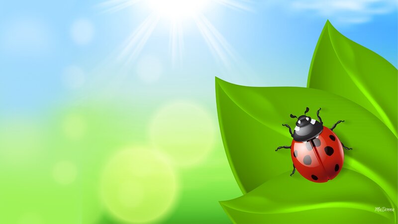Ladybug on Green Leaf — Serene, Afternoon, Digital Art