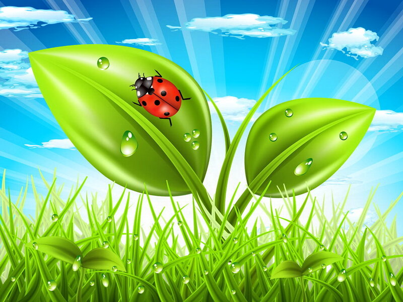 Ladybug on Green Leaf — Serene, Morning, Digital Art, Grass