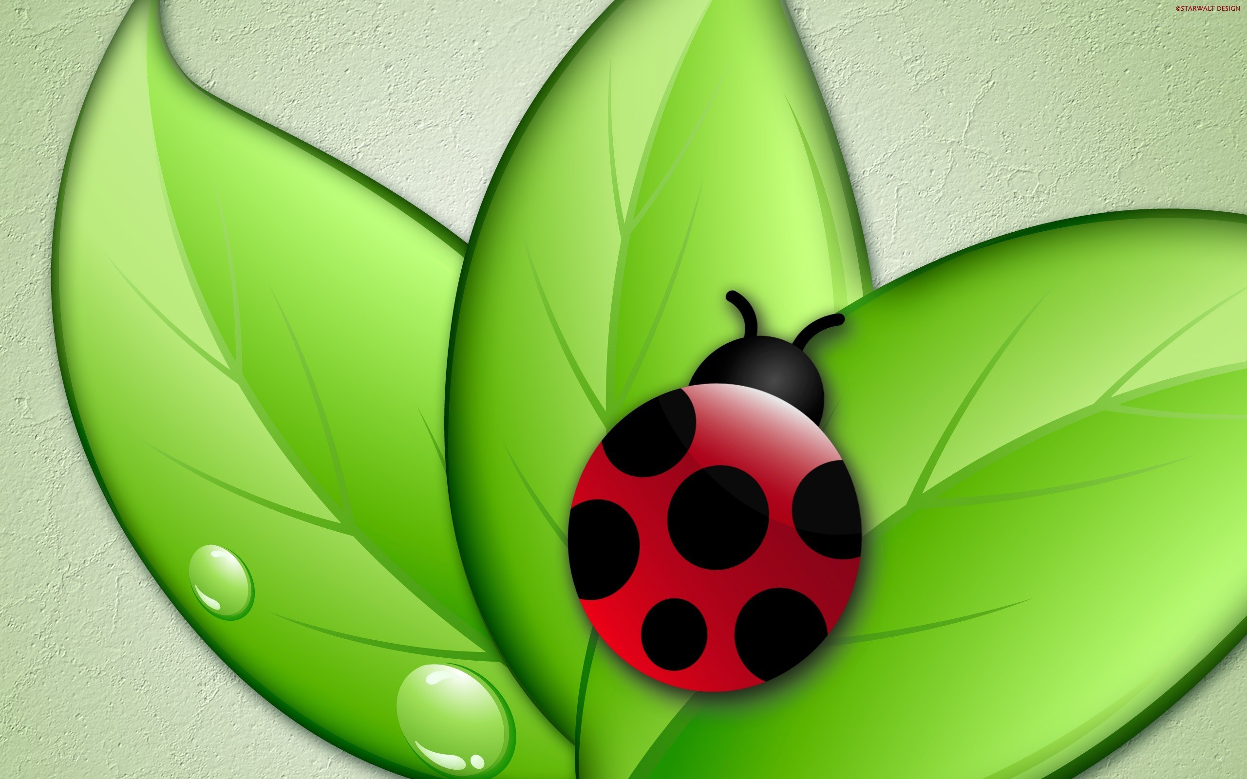 ladybug on green leaves