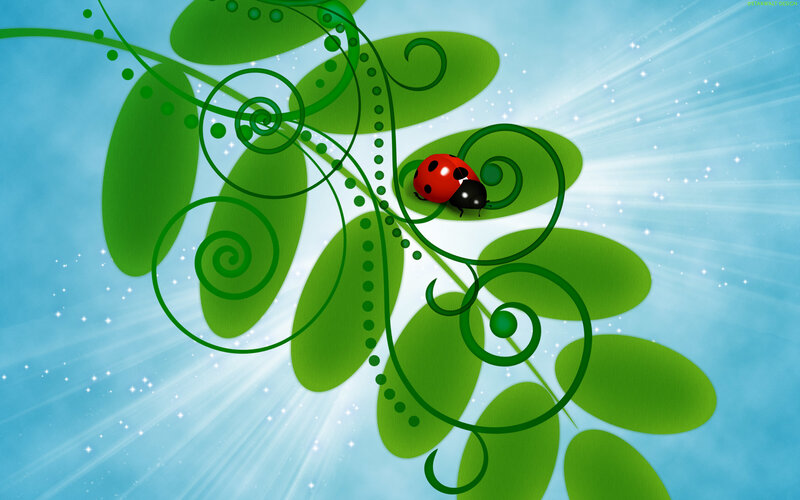 ladybug on green leaves