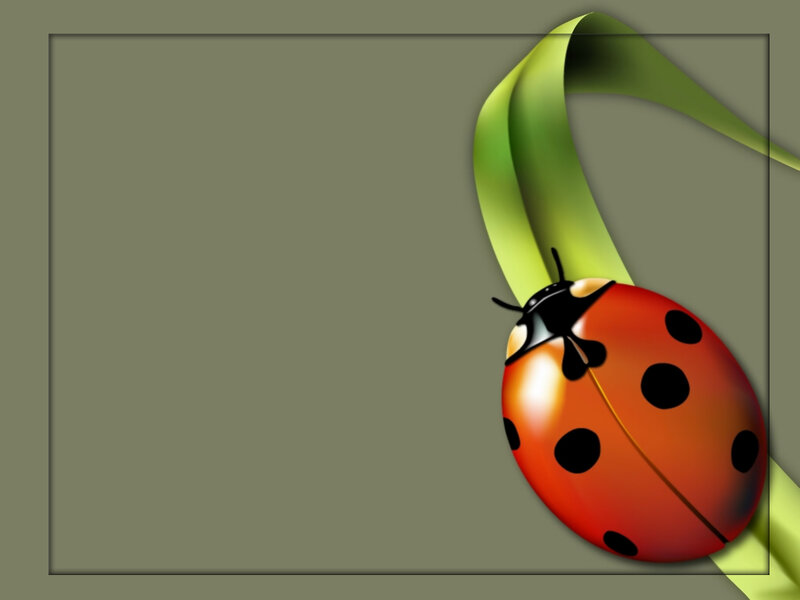 ladybug on green ribbon