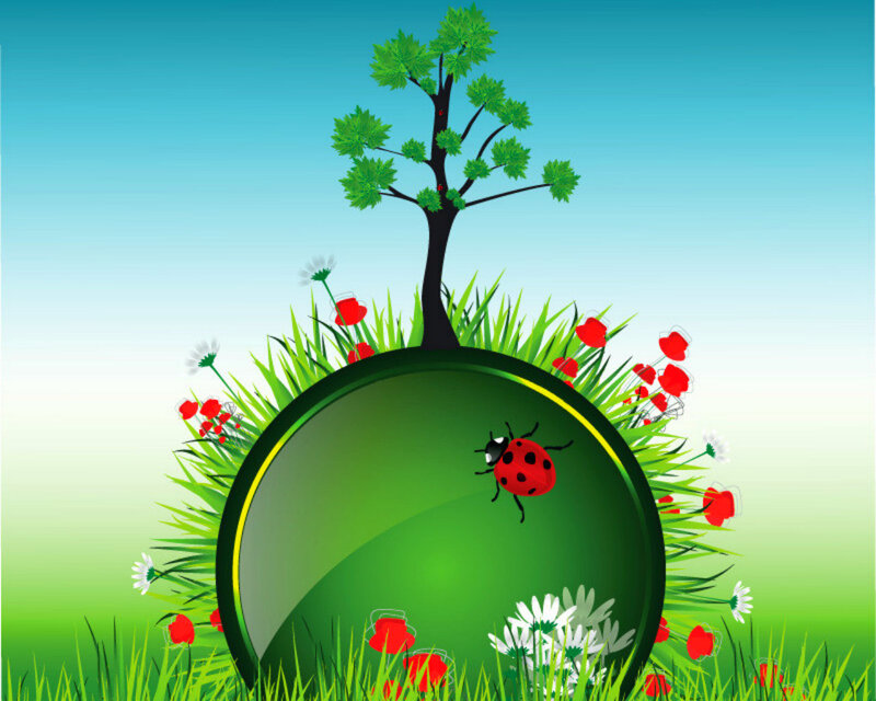 Ladybug on Green Sphere