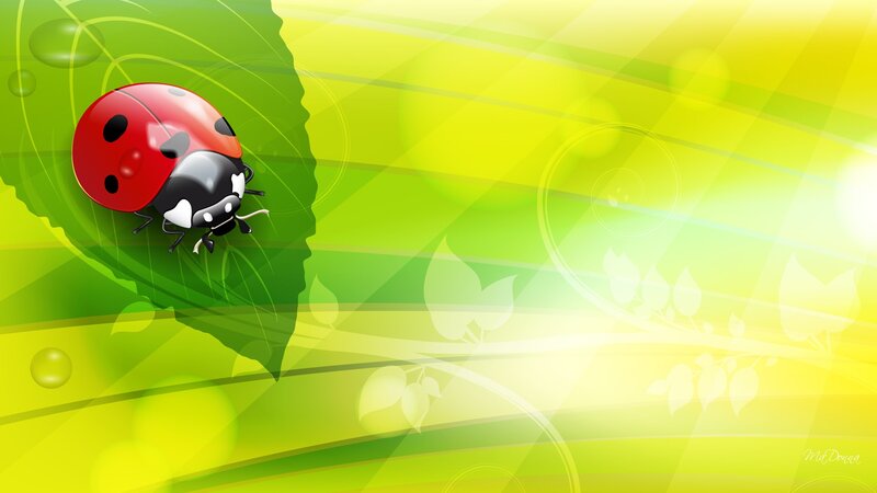 Ladybug on Leaf — Green, Bright