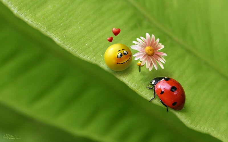 Ladybug on Leaf — Green, Playful, Digital Art