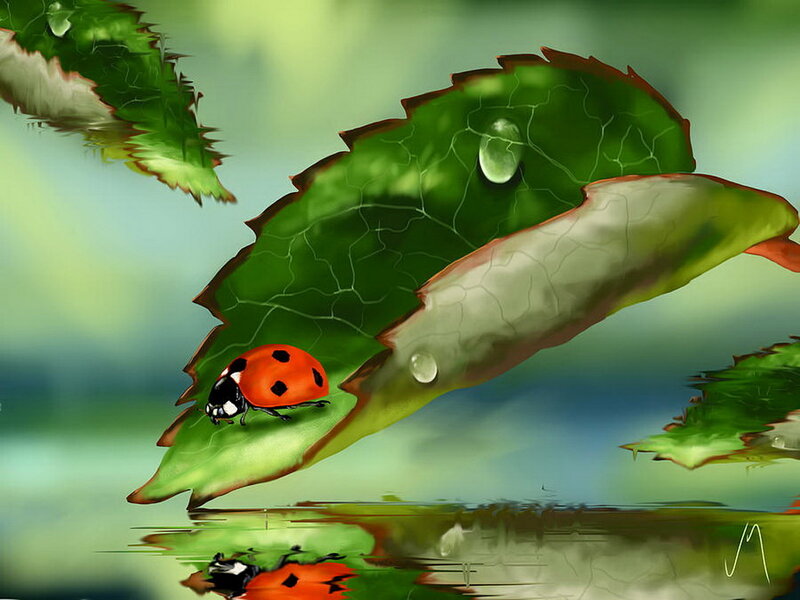 Ladybug on Leaf — Green, Serene, Digital Art