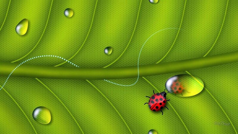 Ladybug on Leaf — Green, Serene, Digital Art, Water Droplets